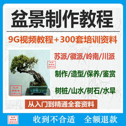 Bonsai Making Techniques Video Tutorial: Lingshan, Huizhou, and Suzhou Styles Craft Teaching, Complete Set of Fruit Tree Stump Landscape and Miniature Modeling
