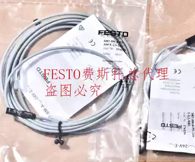 FESTO FESTO Magnetic Switch SMT-10M-PS-24V-E-2 5-L-OE 551373 Spot