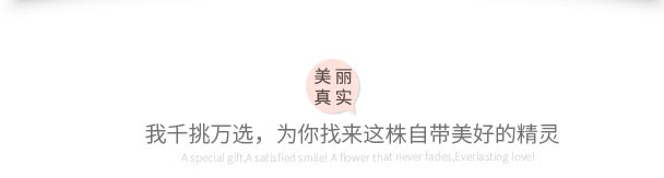 Mô phỏng Wisteria Violet Long Treo Hoa anh đào Hoa giả treo tường Lá xanh Trần hoa nhựa trang trí cây mây - Hoa nhân tạo / Cây / Trái cây cây giả