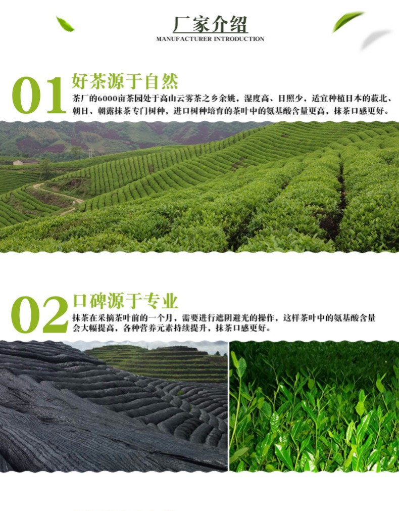 宇治御金香7星纯抹茶粉500g