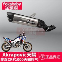 Scorpio] Honda non-dual CRF1100ADV Scorpio exhaust exhaust tail section laser mark 2020 head section