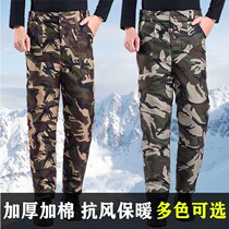 Winter plus velvet thickened exterior wear cold storage cotton pants straight tube down cotton cotton pants labor insurance clothing dad pants high waist winter model