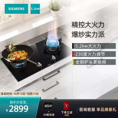 Siemens 5 2kW large firepower gas furnace gas precision temperature control desktop double Port gas furnace ER8PF233MP