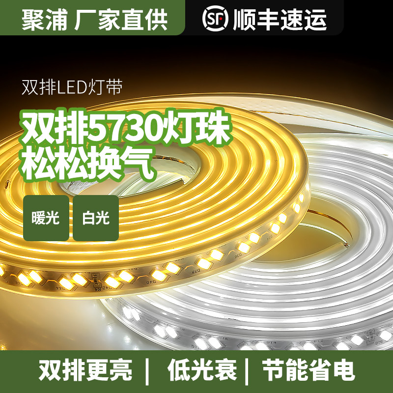 Polyp 5730LED lamp with living room ceiling lighting tube line lamp ultra-bright waterproof light strip 220v outdoor decorated light belt