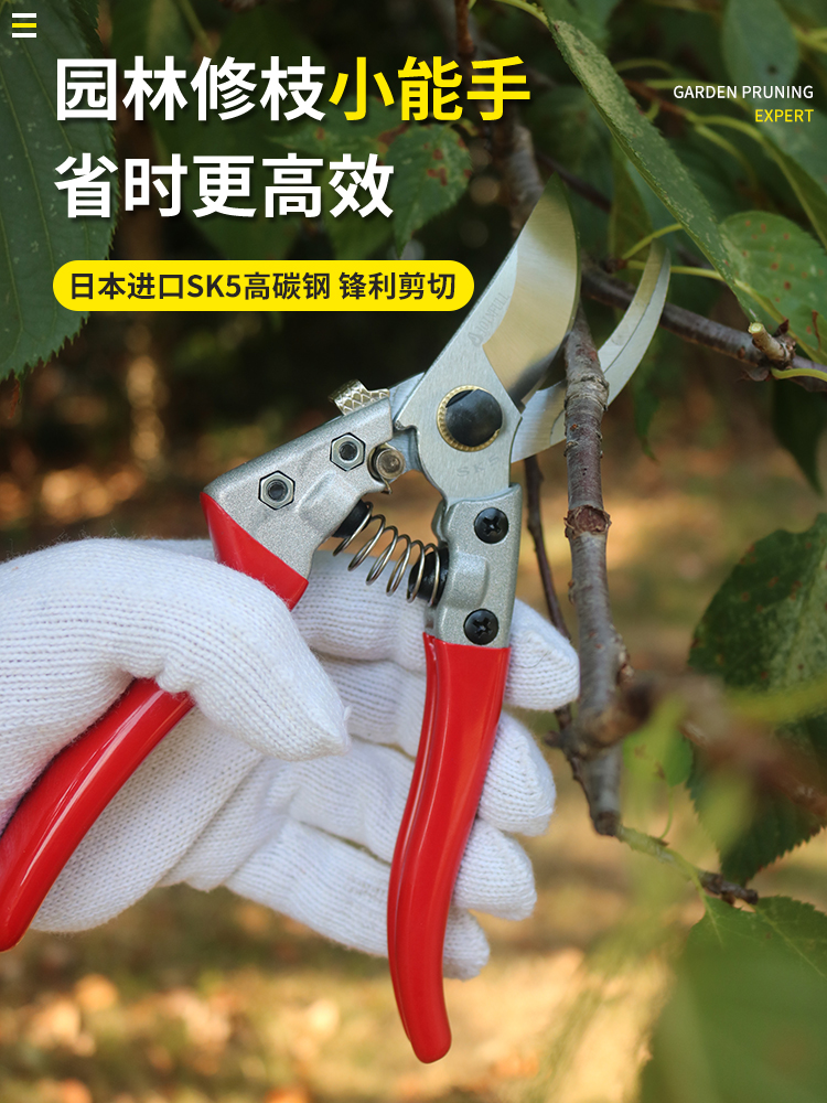 Garden scissors trimming cutting imported gardening scissors powerful scissors fruit tree trimming tree trimming tree dedicated flower shear