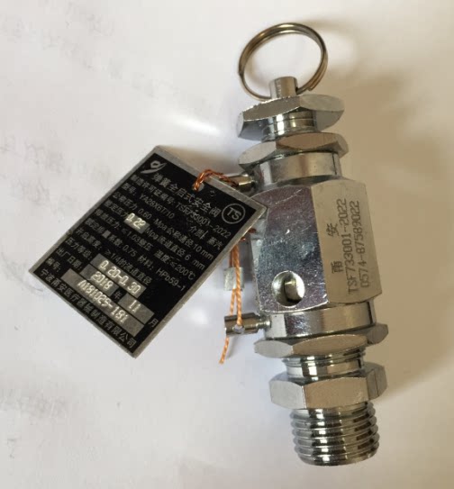 甬安安全阀YA28X6T/10全启式0.22MPa江阴滨江立式压力蒸汽灭菌器
