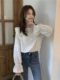 French-Style Lace Embroidery Flared Long-Sleeve Shirt for Women, Spring and Autumn Design, Niche Loose Ruffled Doll Shirt Top