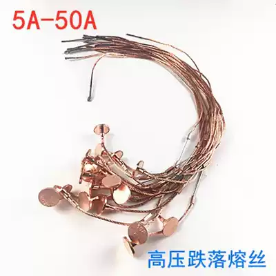 RW Lingke switch high voltage fuse 5A10A15A20A25A30A High voltage dropout fuse fuse