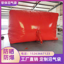 Software Biogas Plant Complete Equipment Home New Countryside New Type Large Fermented Gas Storage Bag For Pig Farm Biogas Bags