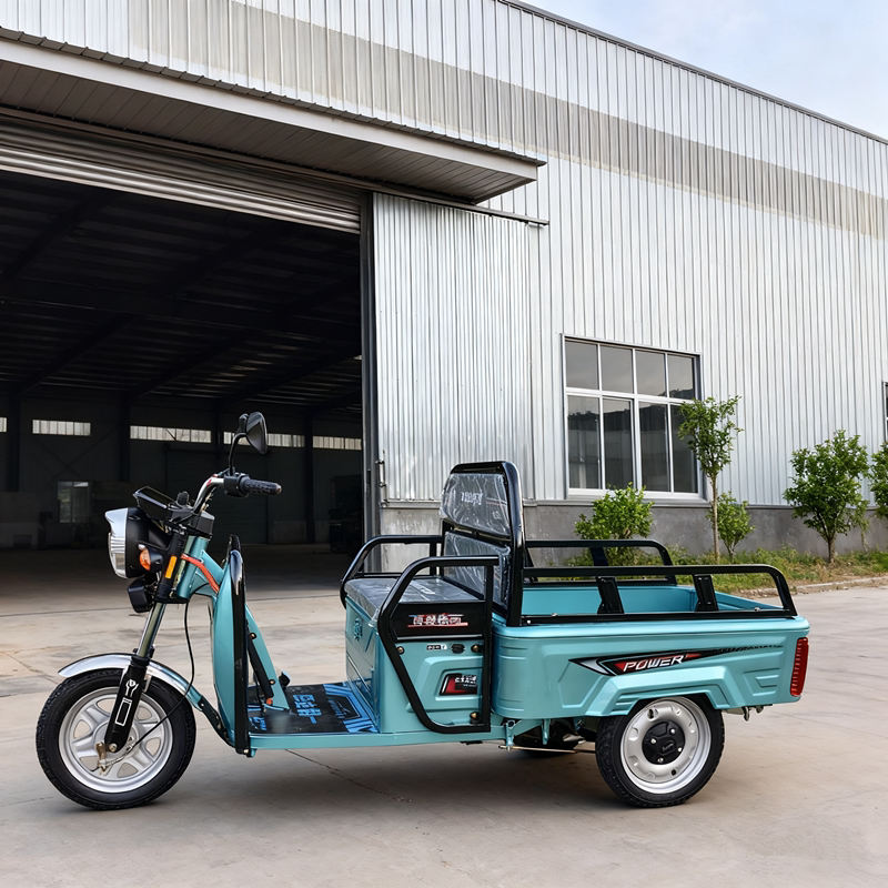 Electric Tricycle for Home Use, Small Dual-Purpose Vehicle for Elderly, Women's Electric Vehicle for Carrying Goods and Picking up Children