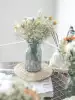 Starry desktop decoration gift millions of stars Home decoration small fresh living room bedroom literary dry flower combination