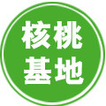 四川老树核桃基地