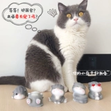 Подарок на день рождения женщина подруга подруга девушки с практическими милыми маленькими творческими друзьями, которые заканчивают