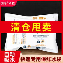 Chuangleng Technology aviation ice bag fresh food refrigeration water-free express seafood summer disposable cold compress clearance