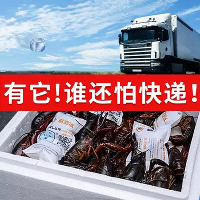 Chuang cold technology Aviation ice bag fresh-keeping self-absorbent refrigerated express special water-free custom cake insulation ice bag