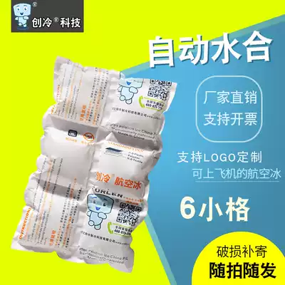 Chuang cold technology Aviation ice bag 6 small grid ice bag food fresh fruit refrigerated cake express one-time