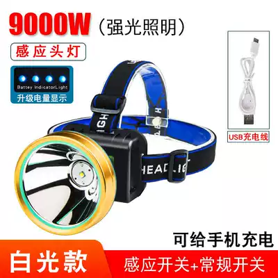 Small probe, simple, flashlight, strong light, head-mounted night light, portable night appointment light, big auto repair sleeve