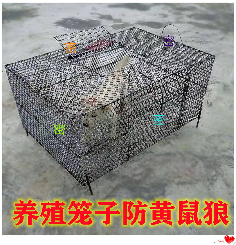 Breeding chicken cage anti-weasel special secret rabbit cage gap ultra-dense large outdoor encrypted iron cage pigeon cage