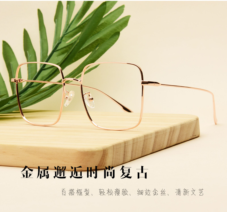 Montures de lunettes JUCARE en Metal memoire - Ref 3138813 Image 10