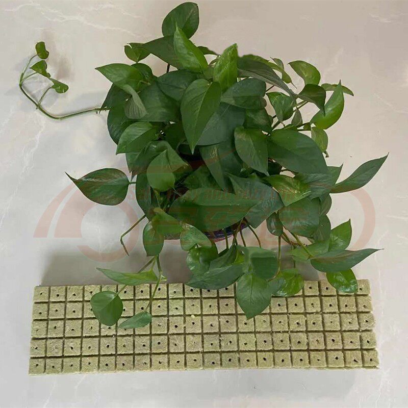 Flower melon and fruit vegetable Miaoki Seedless Cultivation Matrix Cutout Hydropep Agricultural Rock Wool Family Horticulture Seedling Block