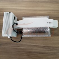 Foreign trade Export 1000W Plant growth Tonic Light Lamps Double End Sodium Lamp Suit 0-10V Dimmable