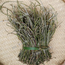 Small yellow grass Dendrobium small ring Dendrobium fresh strips green flowers plate planting beautiful flowers 500g