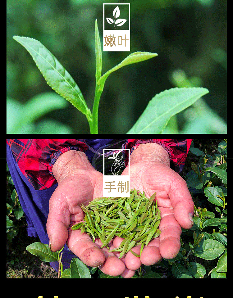 清汤流金 大红袍茶叶散装500g