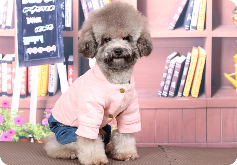 Pet Teddy quần áo chó quần áo mùa thu và mùa đông VIP hơn gấu con chó nhỏ schnauzer mèo Keji bốn chân - Quần áo & phụ kiện thú cưng áo mèo