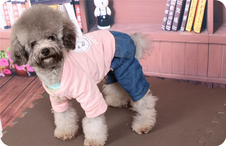 Pet Teddy quần áo chó quần áo mùa thu và mùa đông VIP hơn gấu con chó nhỏ schnauzer mèo Keji bốn chân - Quần áo & phụ kiện thú cưng áo yếm cho mèo