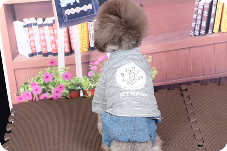 Pet Teddy quần áo chó quần áo mùa thu và mùa đông VIP hơn gấu con chó nhỏ schnauzer mèo Keji bốn chân - Quần áo & phụ kiện thú cưng áo mèo