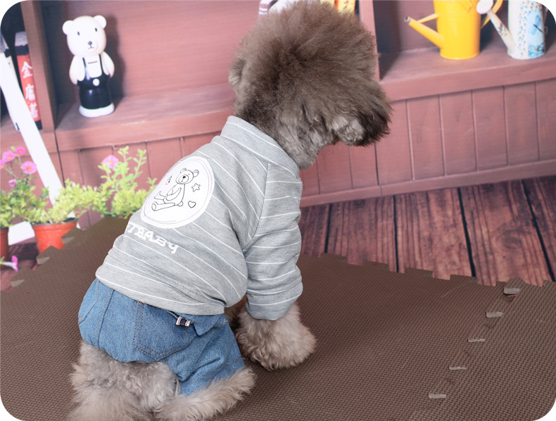 Pet Teddy quần áo chó quần áo mùa thu và mùa đông VIP hơn gấu con chó nhỏ schnauzer mèo Keji bốn chân - Quần áo & phụ kiện thú cưng áo mèo