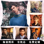 troye tem Sivan Ye xung quanh đệm gối đoạn giấc ngủ ngắn cùng tùy chỉnh hình ảnh đầu thực ngày Student món quà - Trở lại đệm / Bolsters
