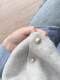 2026 French Gentle Style Small Gold Button Knit Cardigan for Women, Versatile Layering Sweater, Outerwear Vest, Trendy Top