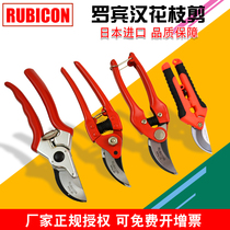Japan Robin Hood gardening scissors pruning shears fruit tree scissors household labor-saving branch scissors tools peeler cutter