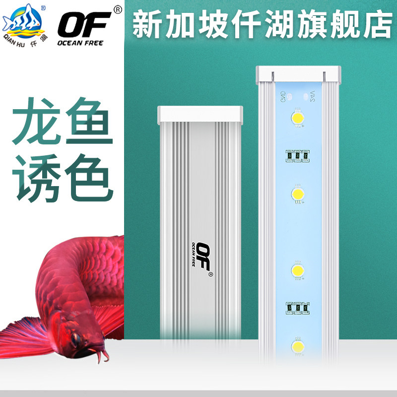 Qianhu dragon fish lamp waterproof fish tank lamp dragon fish LED lamp professional water lamp diving lamp red golden dragon fish lighting