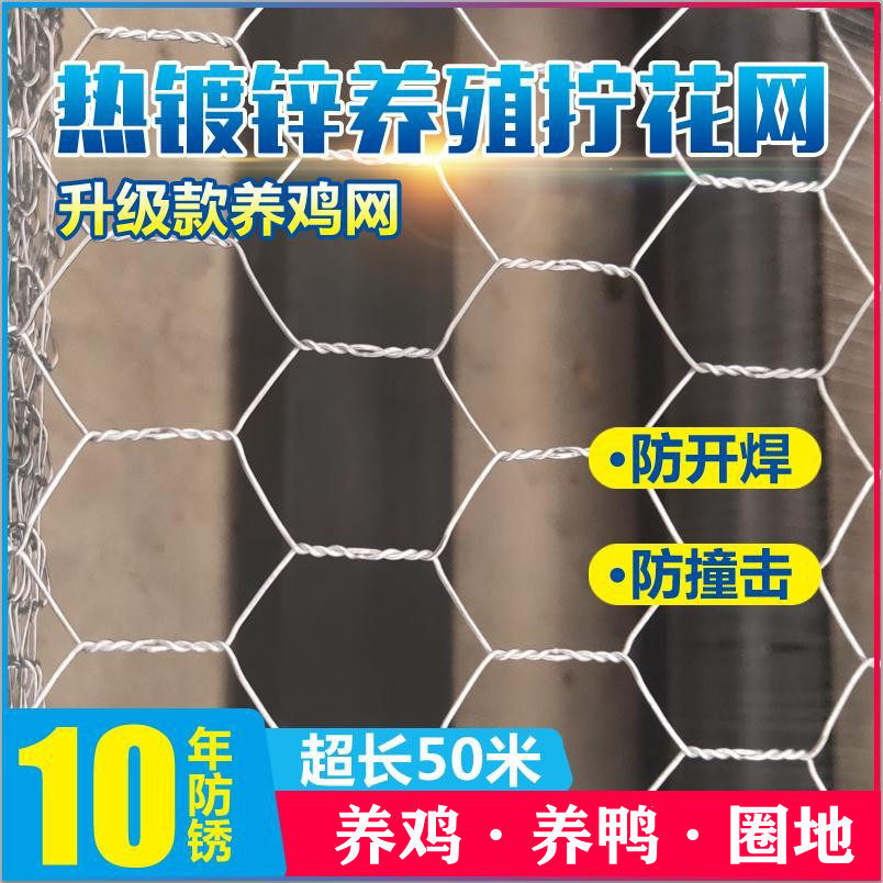Chicken galvanized barbed wire fence screwing screwing mesh anti-snake small hole farming fence network household balcony protection network