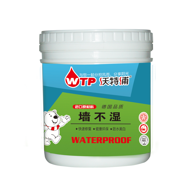 Interior Wall Waterproof Anti Mildew Paint Indoor Moisture