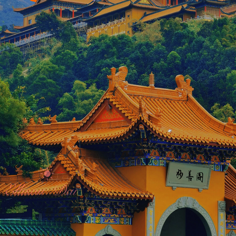 妙善阁