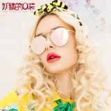 Синья скинча