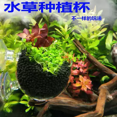 水草杯玻璃水草種植杯飼育造景盆魚缸水晶造景杯缸內型玻璃杯包郵