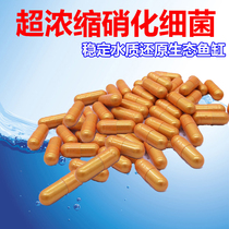 Nitrifying bacteria fish tank purification water quality digestion live bacteria aquarium fishery medicine aquarium concentrated line capsule nitrifying bacteria