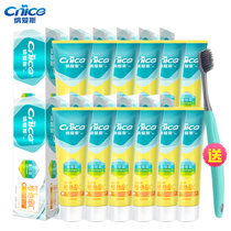 Nays nourishing Vic C toothpaste 165g * 12 Vitamin Family loaded with fresh orange mint yellow crystal