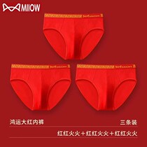 Cat Human Red Briefs Male Pure Cotton Ben Year Belongs To Rabbit Sexy Triangle Pants Head Wedding Red Underpants Ben Life man