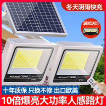 太阳能户外灯一拖二人体感应庭院灯家用室内照明灯超亮大功率路灯