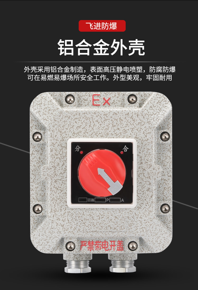 Fly in BXM Explosion-Proof Circuit Breaker Distribution Box - Air ...