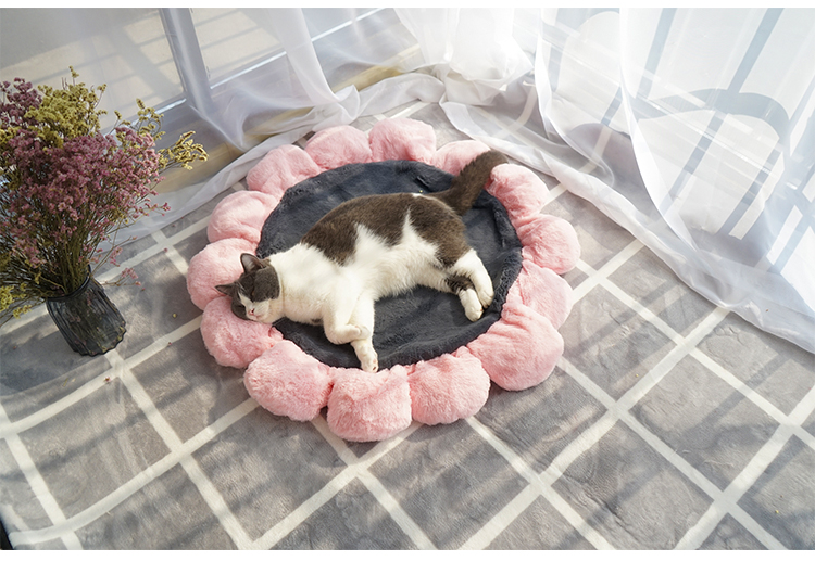 Thỏ nhung hoa mat mèo xả thảm mat mèo mat mèo ngủ với chó mat cộng với nhung ấm vật nuôi mat mèo ngủ mat - Cat / Dog hàng ngày Neccessities Máng ăn cho chó con