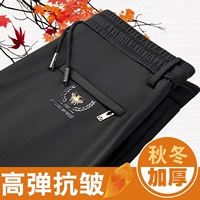 Little Bee Black (весна и осень)