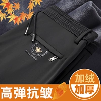 Little Bee Black [добавить дольверы]