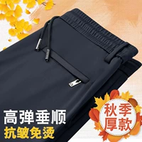 Тибетский цин (весна и осенний фонд)