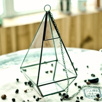 Rice fruit new product eternal flower succulent plant glass flower room thin diamond graphic flower Ware electroplating copper flower pot